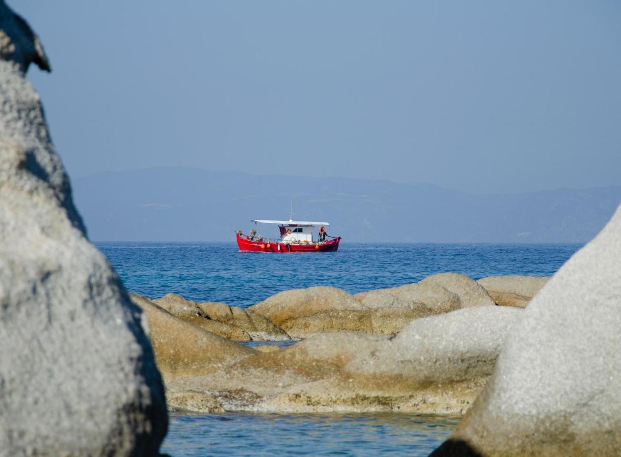 Thodoros Apartment Sykia Chalkidikis Exteriör bild